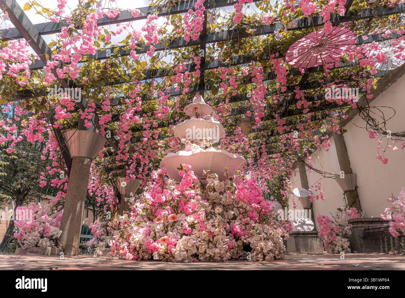 Passerelle romantique avec fleurs roses et parasols Banque D'Images
