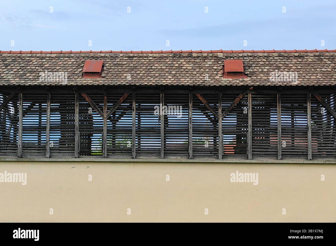 Abri rustique : Maison de cochon en bois dans le village Banque D'Images