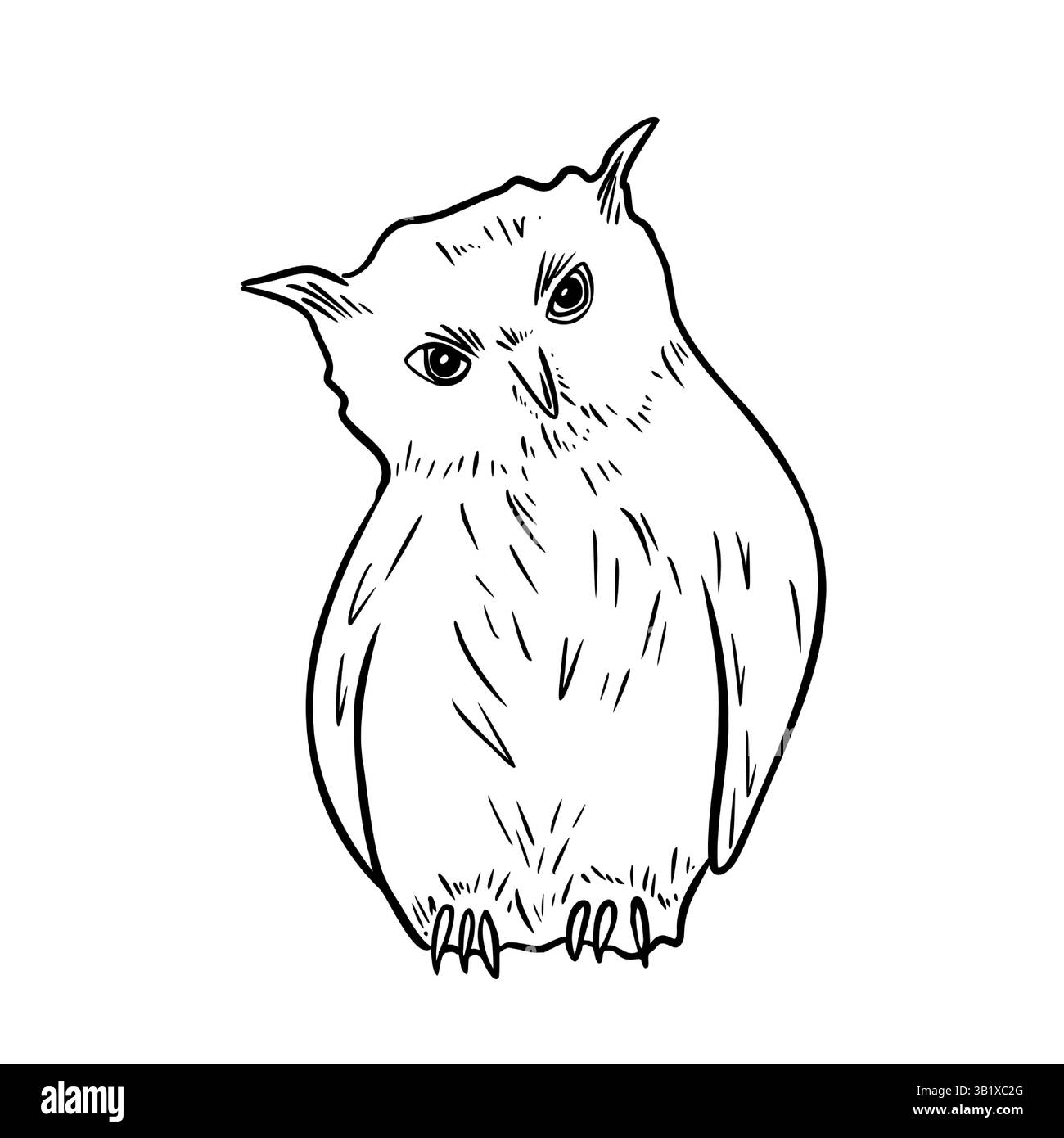 Hibou des neiges dessiné à la main noir blanc illustration vectorielle. Dessin monochrome hibou aigle pour la conception rustique d'hiver et de Noël. Oiseau de nuit animal forestier Illustration de Vecteur