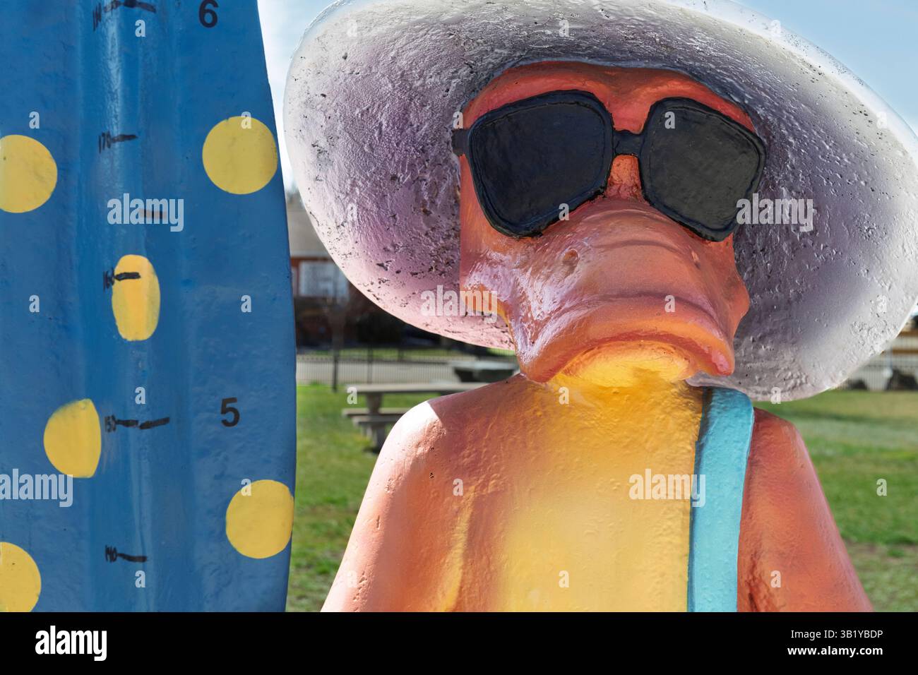 Statue humoristique de canard avec des lunettes de soleil et un chapeau se tient près d'un panneau de mesure de la hauteur par une journée ensoleillée dans un parc Drumheller Alberta Canada Banque D'Images