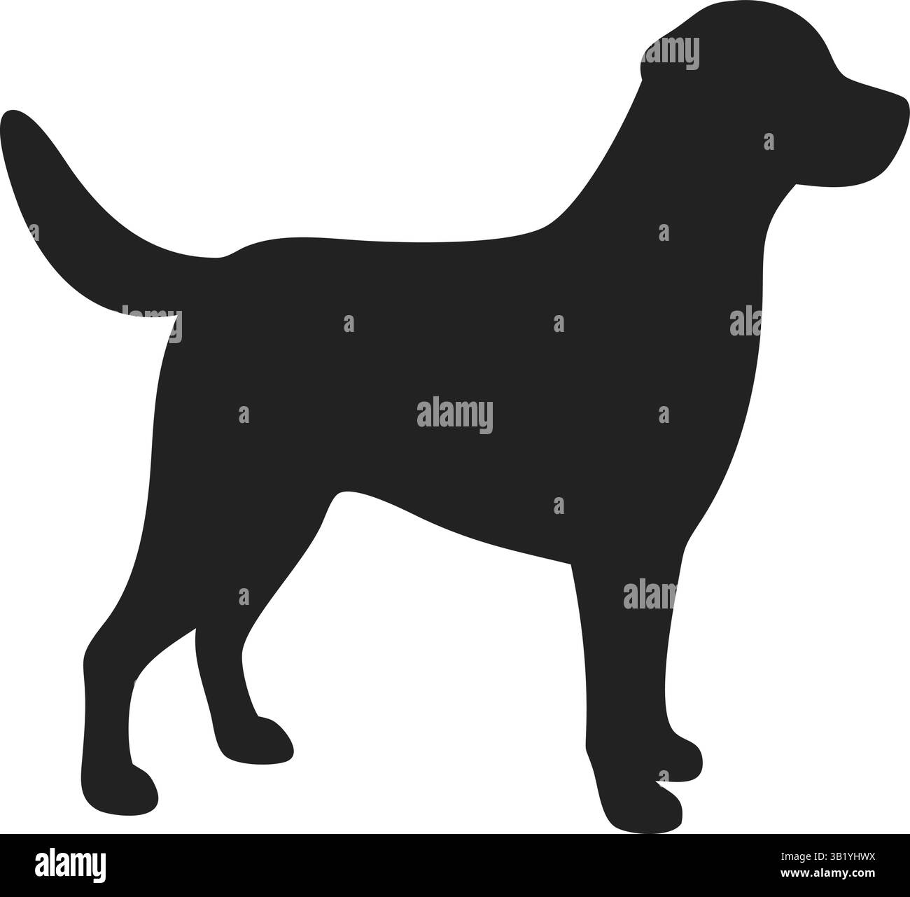 Silhouette Labrador Retriever avec queue allongée | Labrador | silhouette de chien | vecteur pour animaux de compagnie Illustration de Vecteur