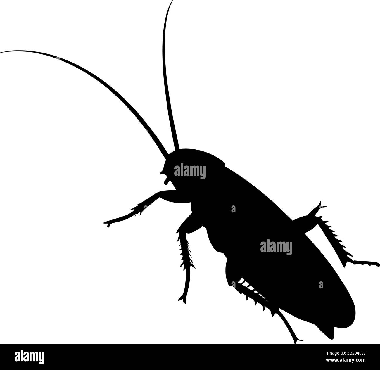 Image vectorielle de silhouette de cafard pour la lutte antiparasitaire et l'illustration d'insectes Illustration de Vecteur