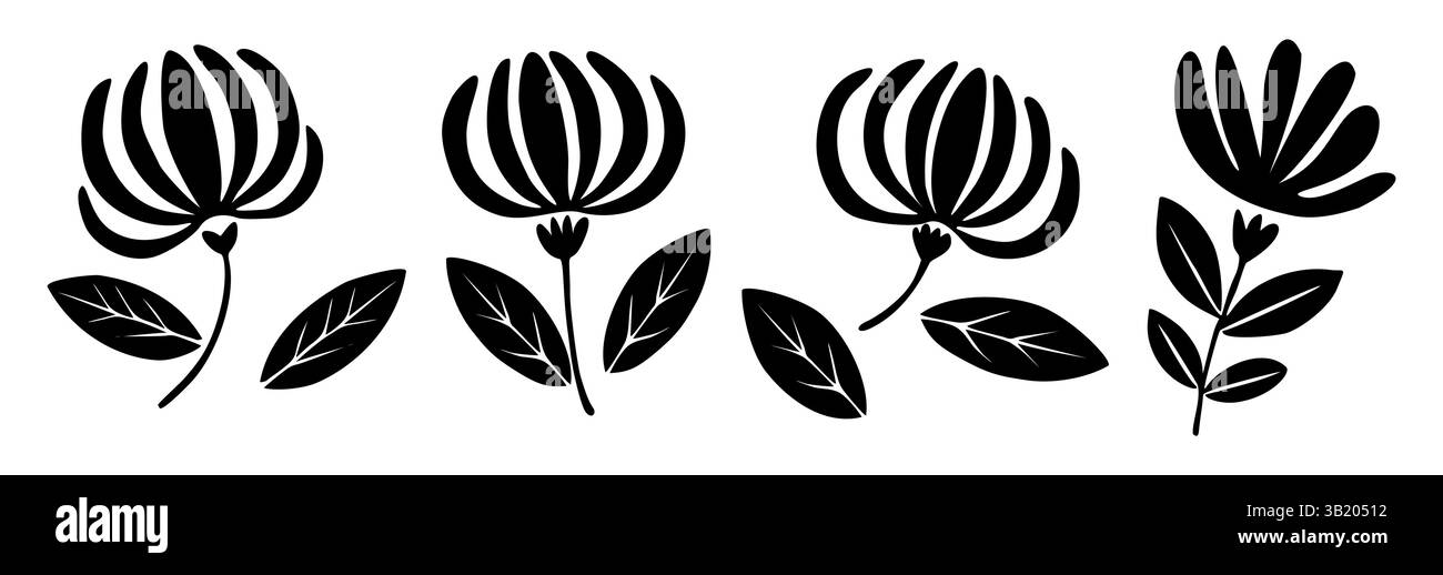 Ensemble de silhouettes noires de fleurs de chèvrefeuille Illustration de Vecteur