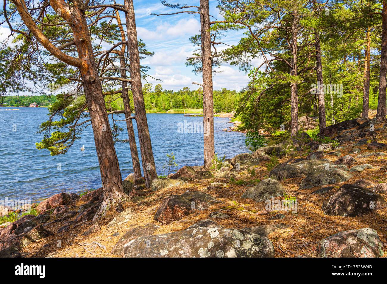 Paysage avec rochers et arbres près de Figeholm en Suède. Banque D'Images