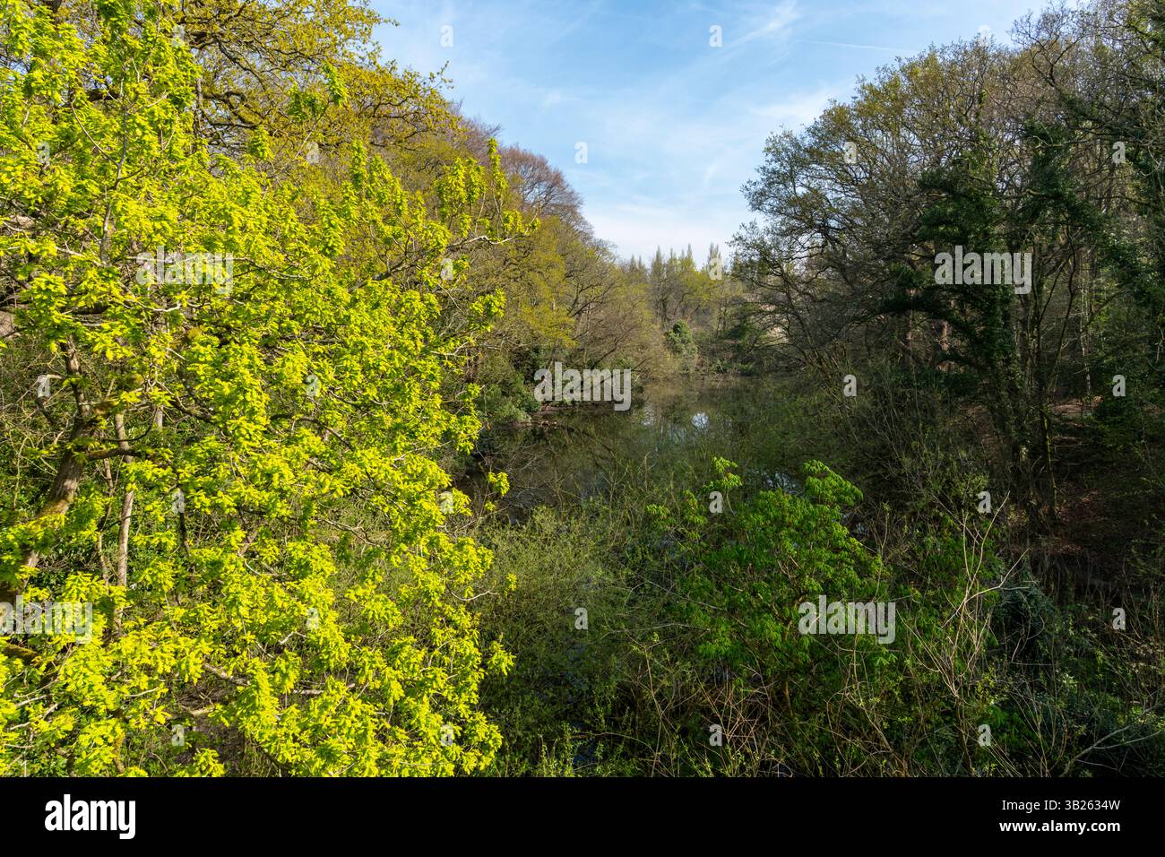 Vue sur le barrage de Lymm sous le soleil de printemps. Lymm, Cheshire, Angleterre. Banque D'Images