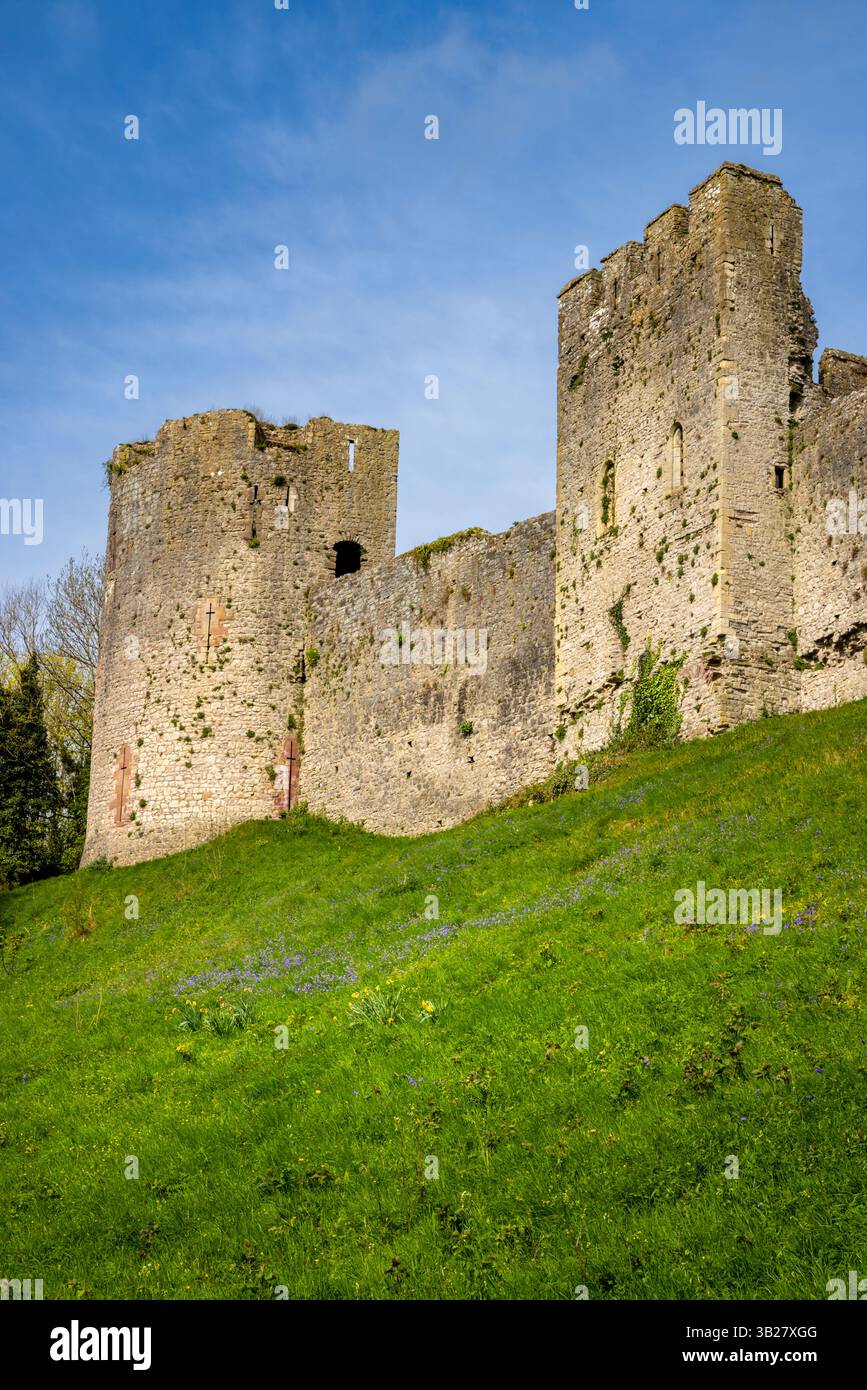 Les murs défensifs du château de Chepstow de la 'Dell, Chepstow, Monmouthshire, pays de Galles du Sud Banque D'Images