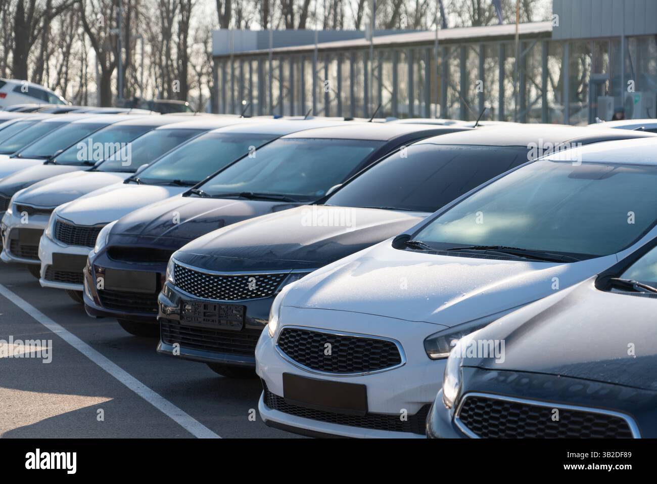 Beaucoup de voitures dans une rangée. Ventes de voitures d'occasion. Banque D'Images