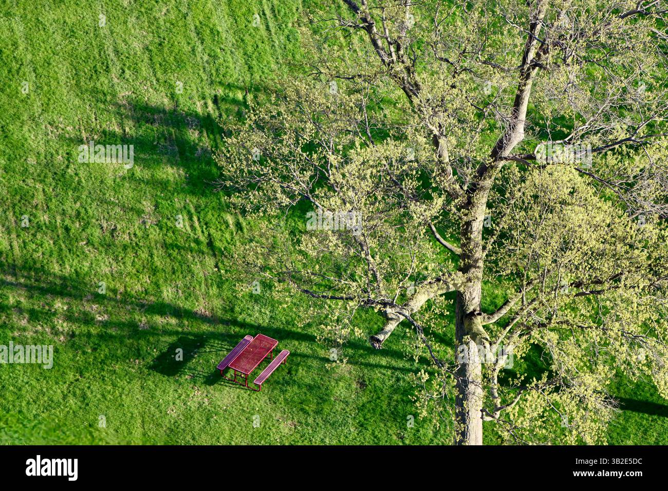 Vue aérienne de l'arbre et banc rouge et table sur une grande pelouse à Lakewood à l'ouest de Cleveland, Ohio Banque D'Images