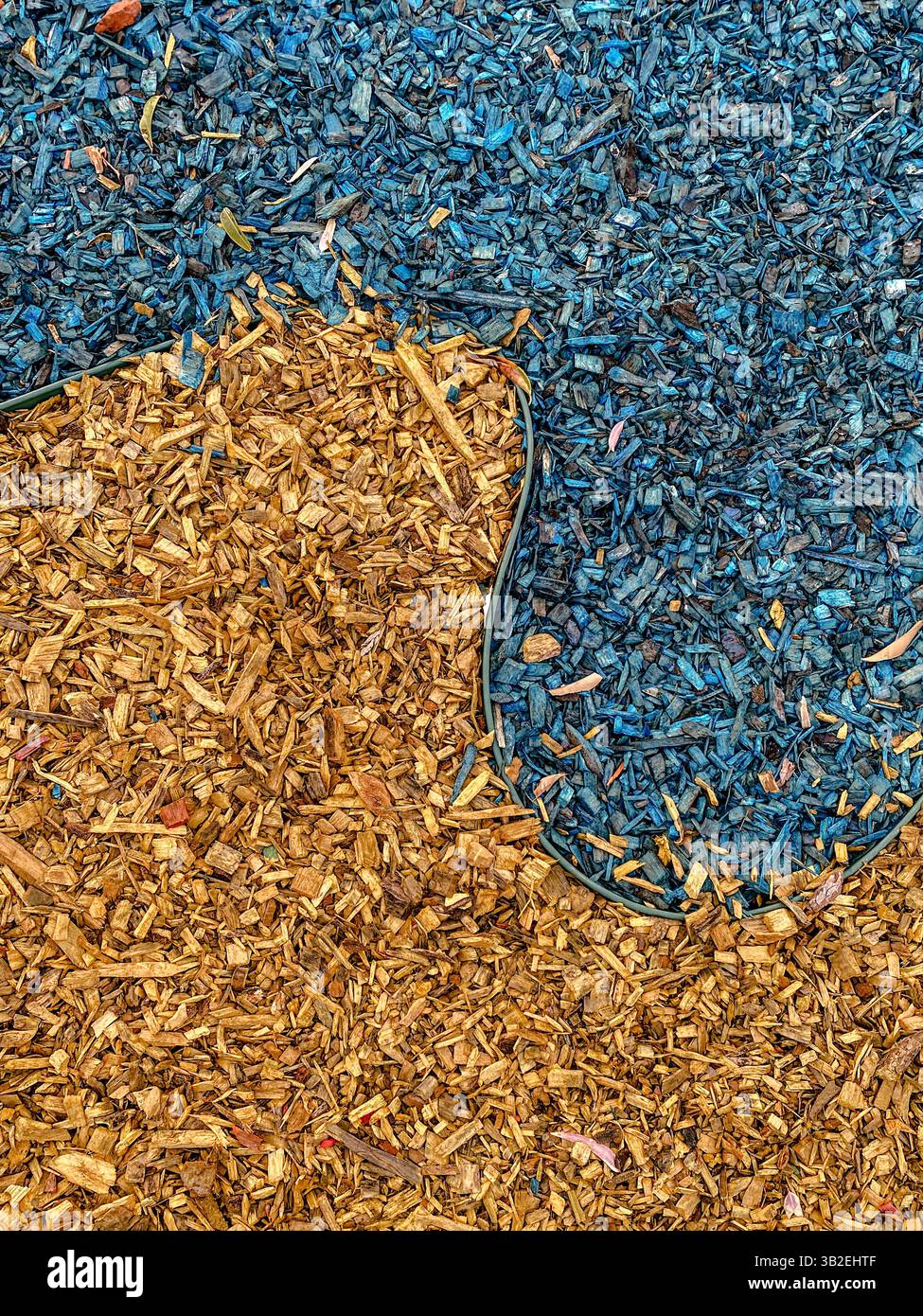 Vue de dessus du paillis de copeaux de bois jaune et bleu avec bordure incurvée, surface texturée naturelle pour l'aménagement paysager, le jardinage et la conception de terrains de jeux Banque D'Images