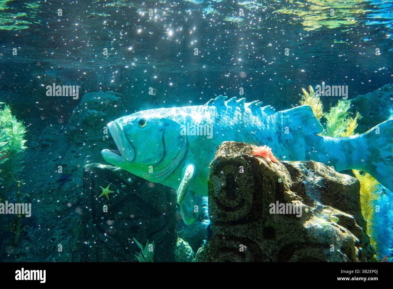 Peignez la nuit 2016 et la journée au parc, Disneyland, Anaheim, Californie Banque D'Images