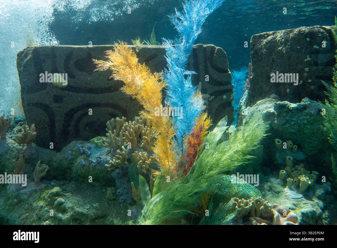 Peignez la nuit 2016 et la journée au parc, Disneyland, Anaheim, Californie Banque D'Images