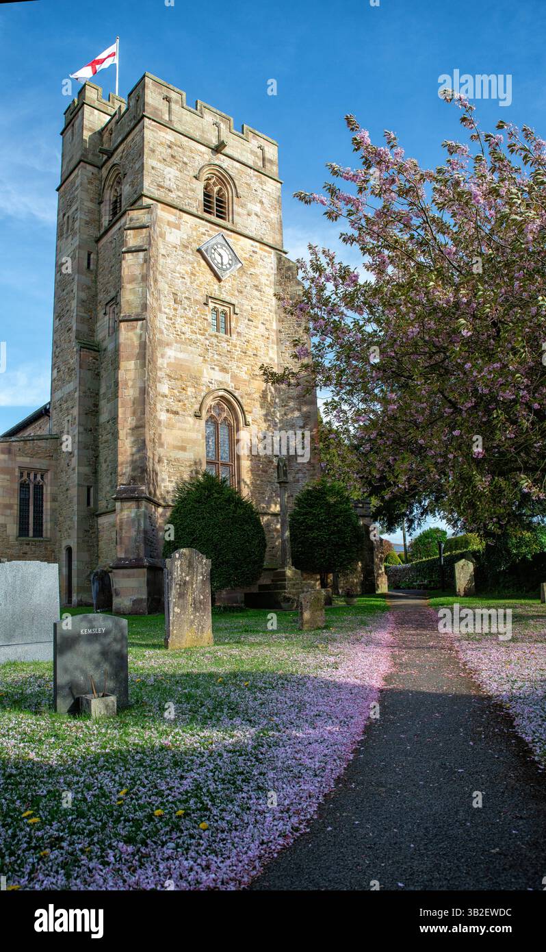 Église St Marc, Natland, Cumbria. Une église avec cimetière représentant la tour de l'église et des arbres en fleurs Banque D'Images