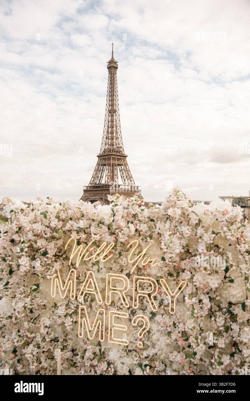 Icône parisienne – Tour Eiffel avec fleurs en fleurs et ciel partiellement nuageux Banque D'Images Icône parisienne – Tour Eiffel avec fleurs en fleurs et ciel partiellement nuageux Banque D'Images