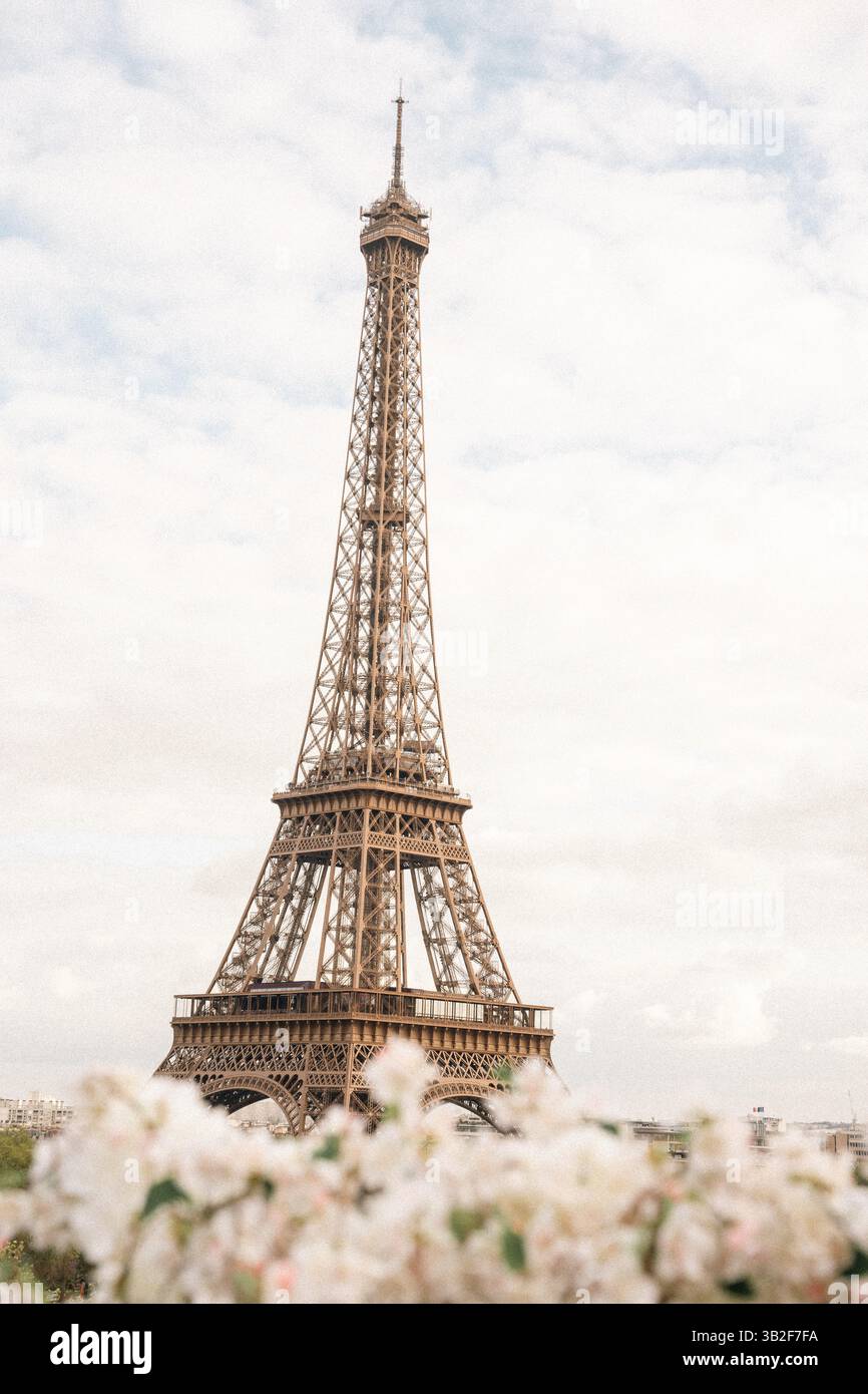 Emblématique Tour Eiffel – monument parisien avec ciel partiellement nuageux et fleurs en fleurs Banque D'Images