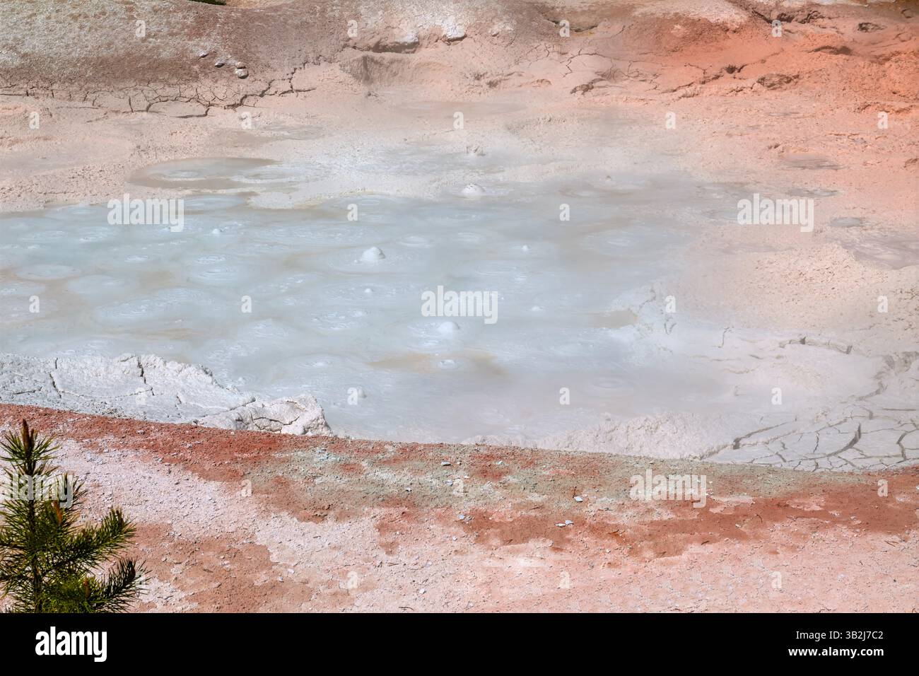 Pots de peinture bouillante dans le Lower Geyser Basin dans le parc national de Yellowstone dans le Wyoming Banque D'Images