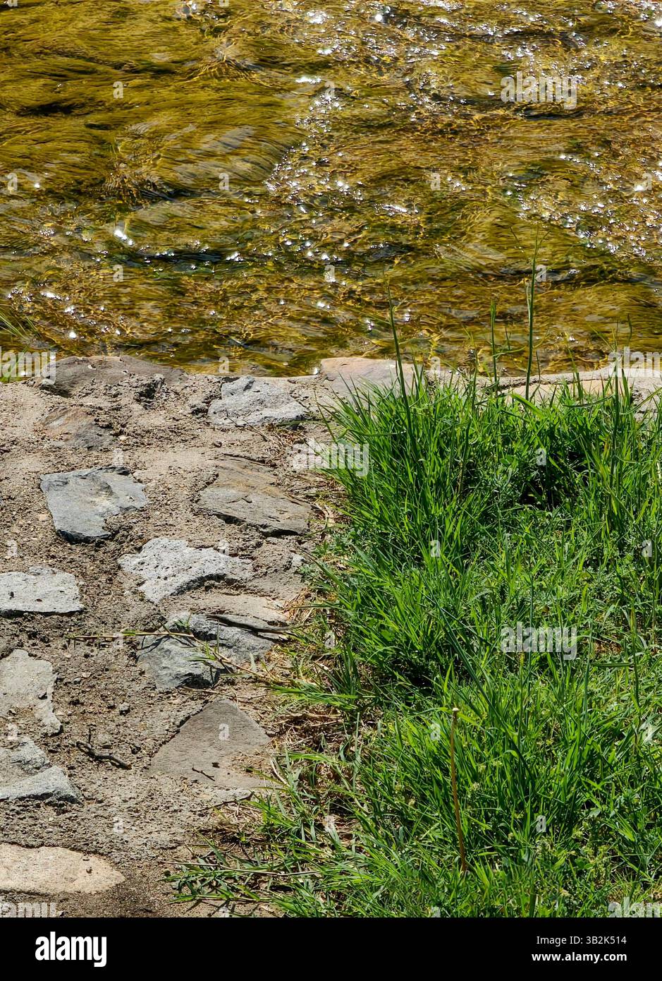 pierres, herbe, et humide , mondes différents dans un cadre. Banque D'Images