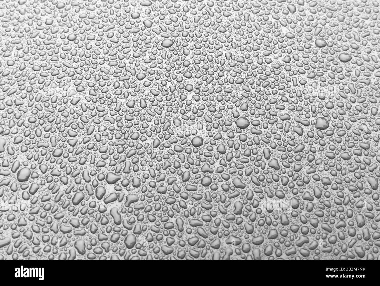 Fond de texture de gouttes d'eau. Gouttes d'eau brillantes sur une surface sombre. Banque D'Images