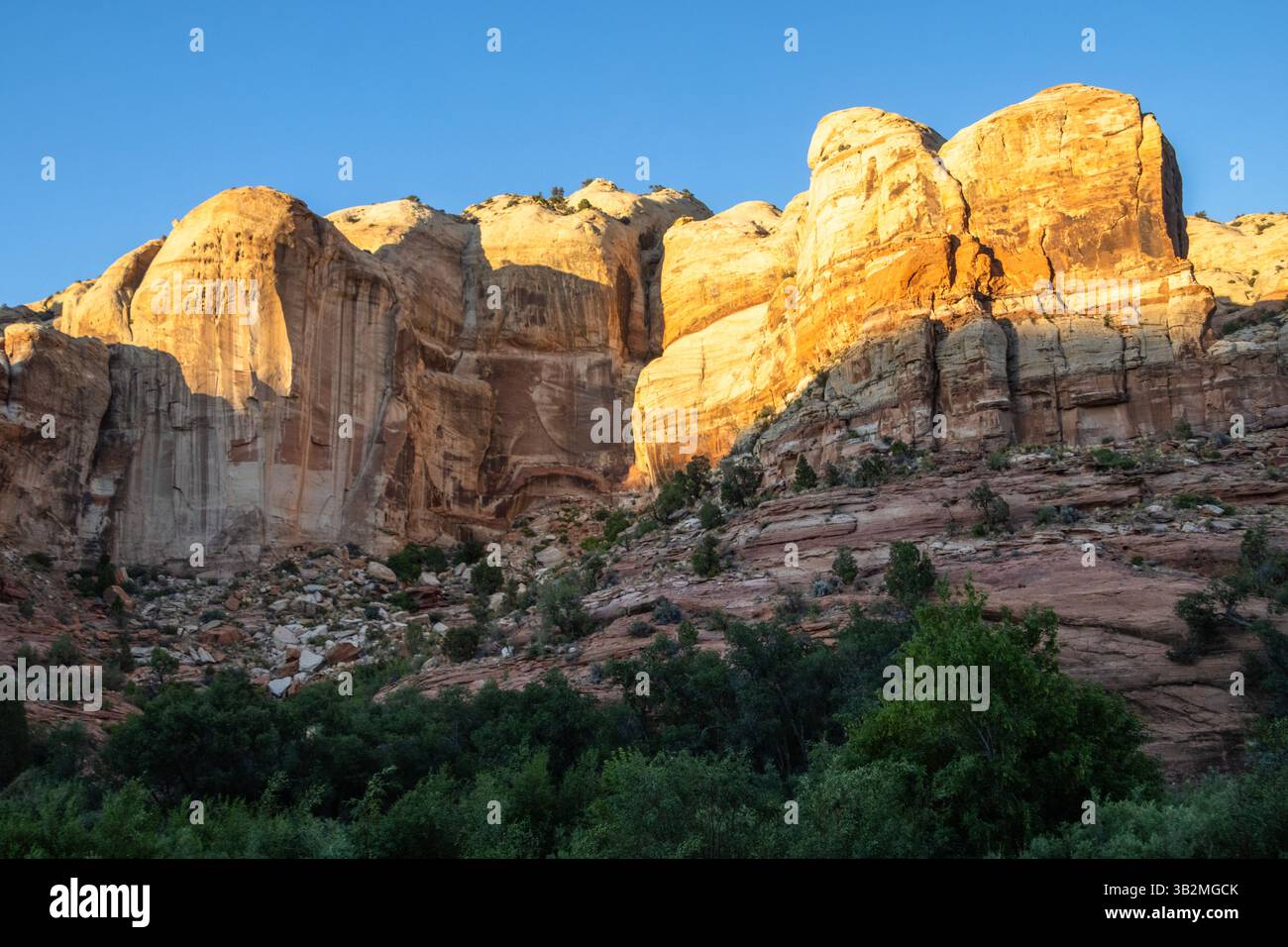 La lumière du soleil projette des teintes chaudes sur les majestueuses formations rocheuses qui s'élèvent au-dessus d'une zone verdoyante, mettant en valeur la beauté naturelle du désert au coucher du soleil. Banque D'Images