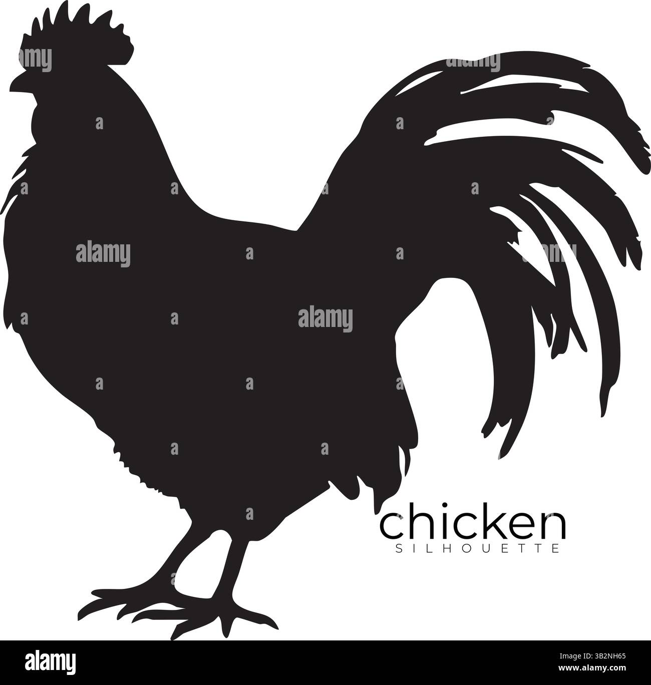Rooster noir ou Hen Outline pour les logos de ferme, les graphiques de l'industrie de la volaille, le décor rustique, les affiches agricoles, et l'illustration de style campagnard Illustration de Vecteur