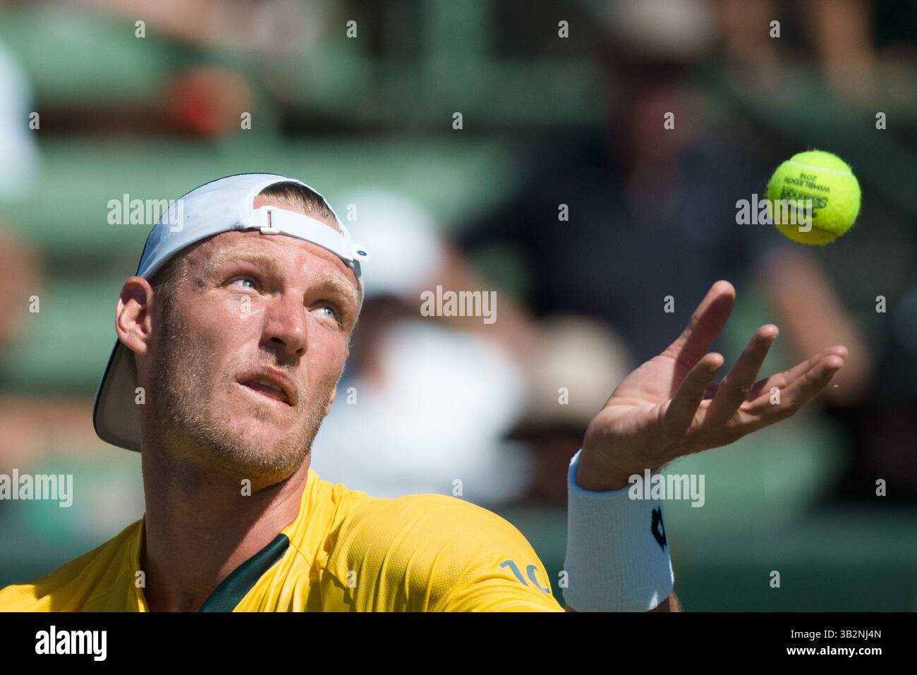 4 mars 2016 - Melbourne, Australie - SAM GROTH d'Australie en action contre John Isner des États-Unis lors du premier match de la Coupe du monde BNP Paribas Davis match nul entre l'Australie et les États-Unis. Crédit image : © Sydney Low/CSM via ZUMA Wire) Banque D'Images