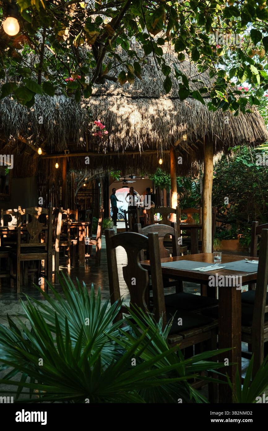 Tranquillité tropicale : dîner sous les palmiers Banque D'Images