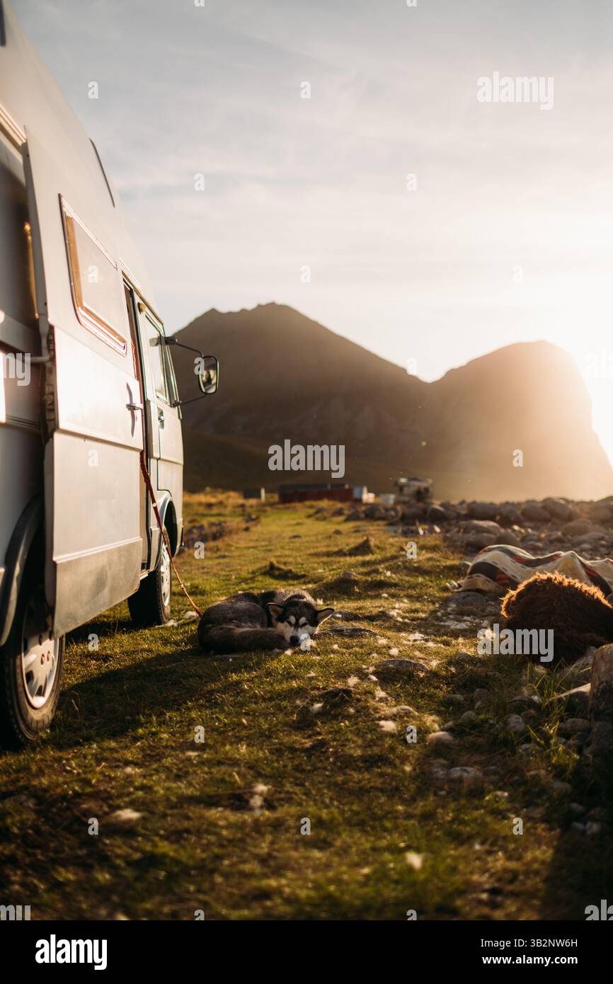 Chien polaire endormi à côté du camping-car à l'heure dorée Banque D'Images
