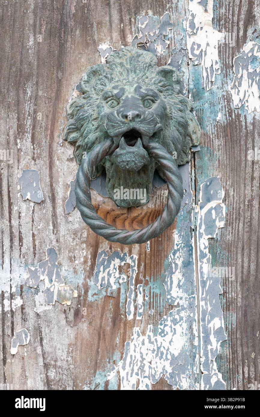 Vieux butoir de porte tête de lion sur le bois Banque D'Images