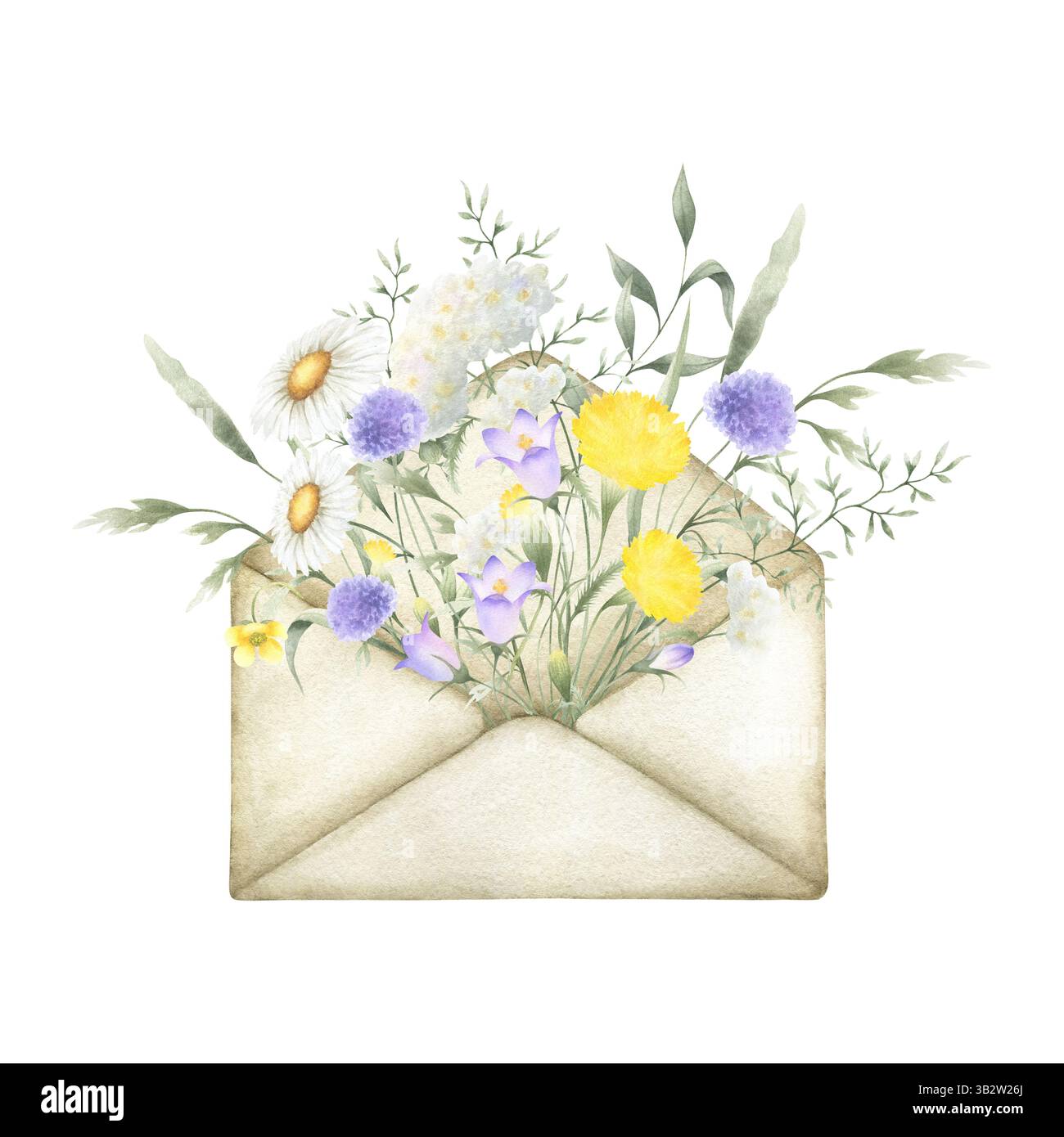 Aquarelle fleurs sauvages camomille, chellflower, yarrow, pissenlit et herbes de prairie dans l'ancienne enveloppe vintage. Champ jaune, lilas, fleurs blanches main dr. Banque D'Images