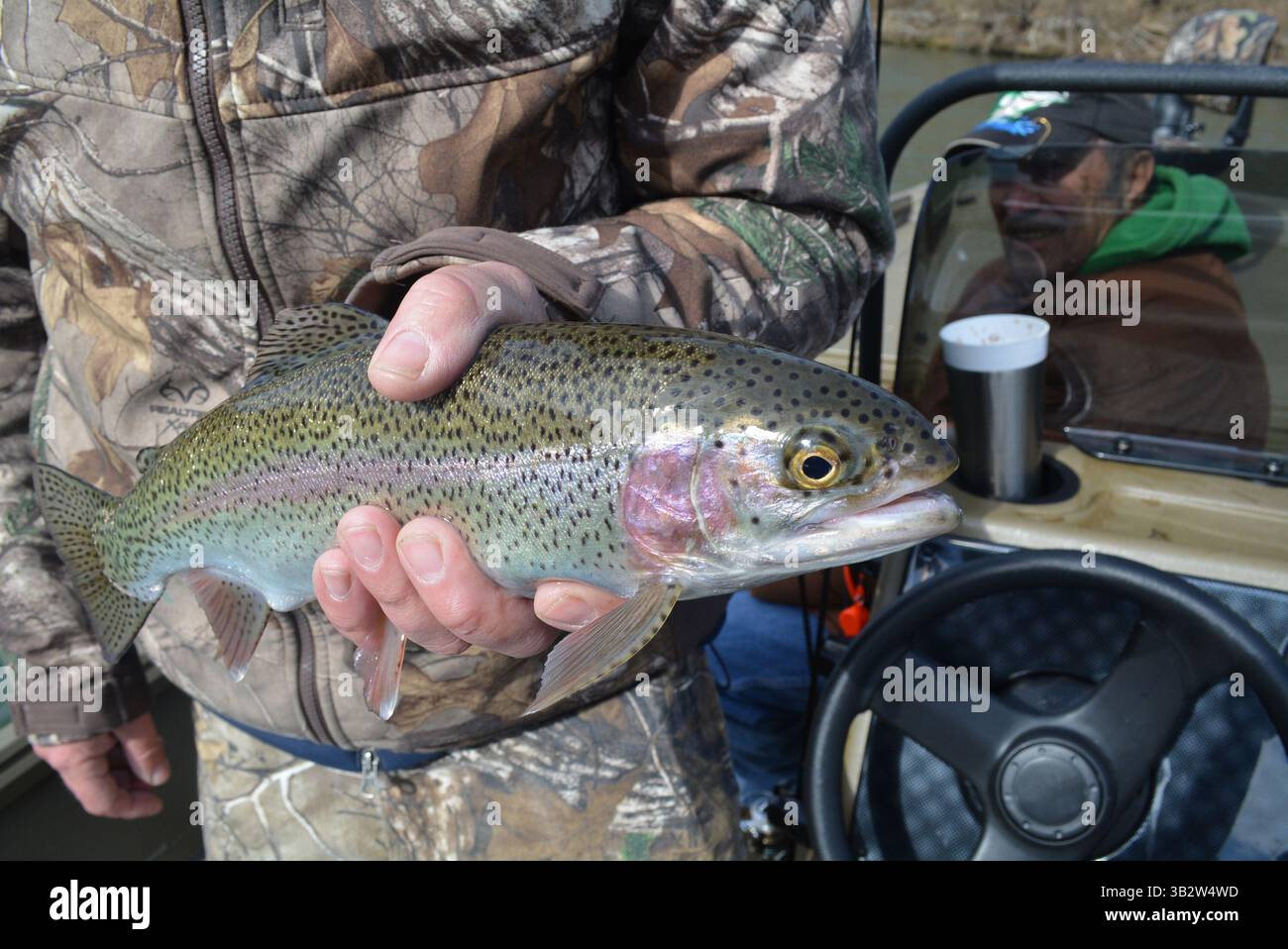 Feb. 1, 2016 - Branson, MO, USA - la truite arc-en-ciel en bonne santé a été la prise du jour au lac Taneycomo. La pêche a été bonne à la suite d'une inondation à la fin de décembre. (Crédit image : © Brent Frazee/TNS via ZUMA Wire) Banque D'Images