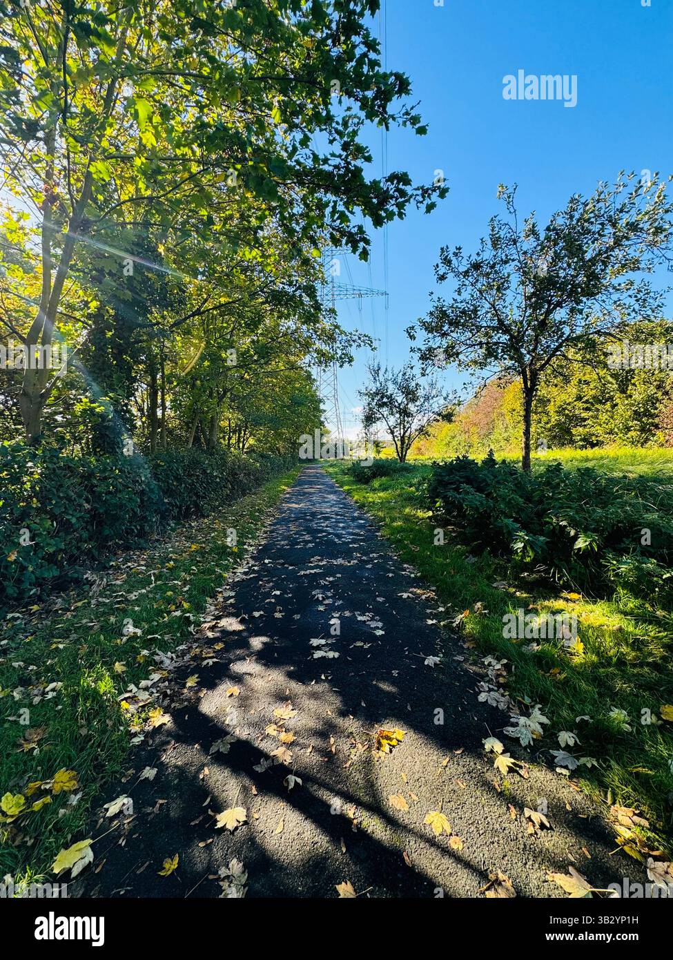 Promenade d'automne à Alfter, Allemagne Banque D'Images