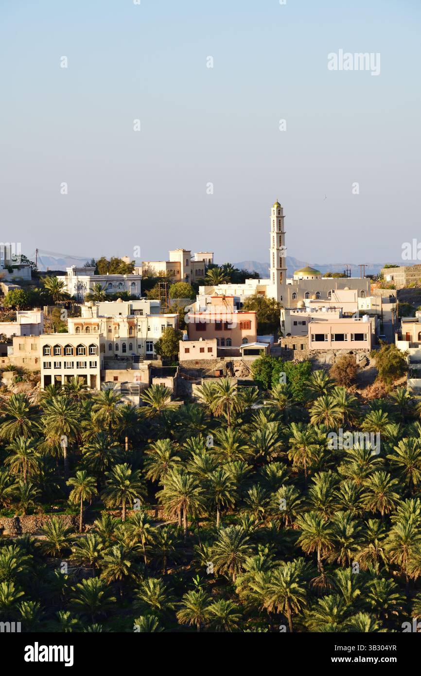 Plantation de palmiers et vue sur le village moderne Misfah Al Abriyeen, Oman Banque D'Images