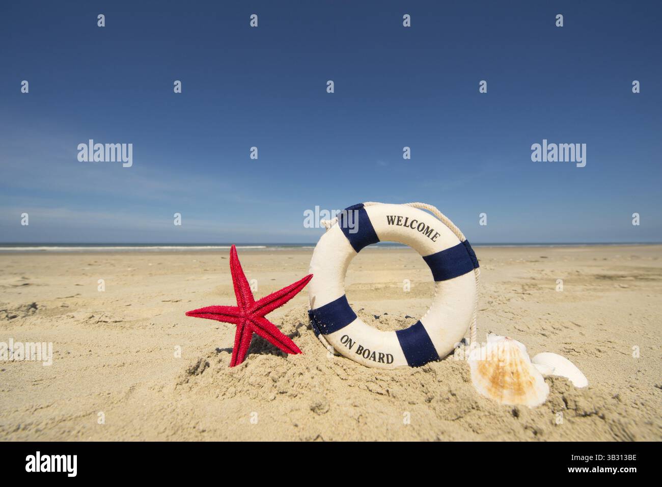 L'été à la plage avec life saver, étoiles et coquillages Banque D'Images