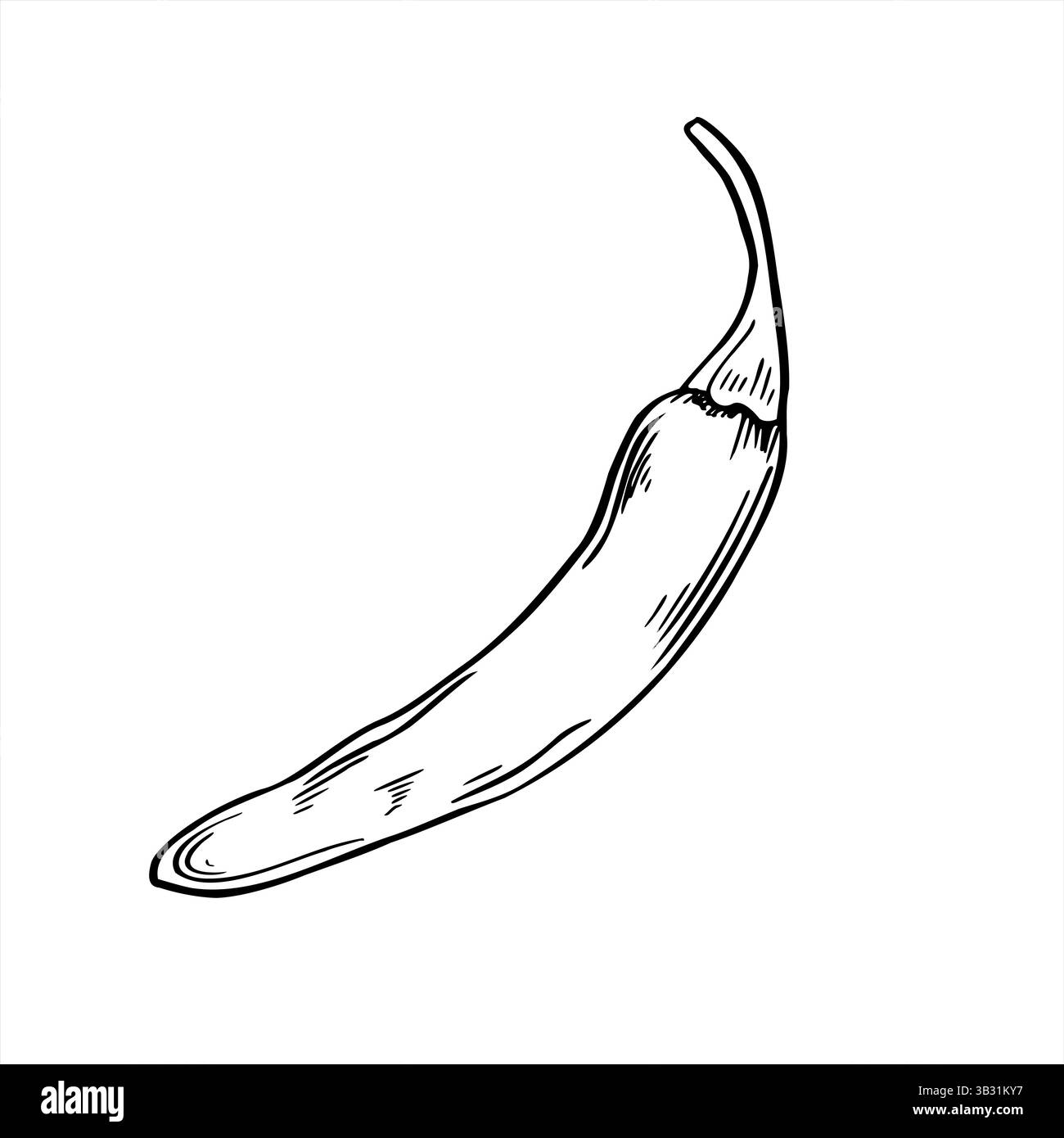 Illustration vectorielle monochrome de gousse de piment épicé entière peinte par des encres noires. Jalapeno, Cayenne ou Chili croquis réaliste. Légume pour nourriture Illustration de Vecteur