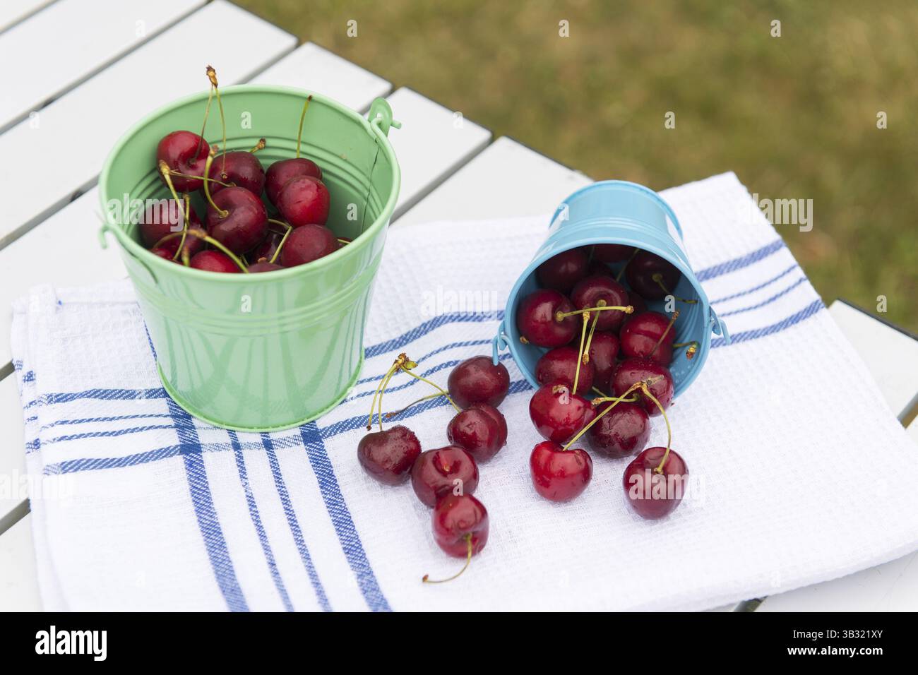 Seaux avec récolte de cerises fraîches au te tableau Banque D'Images