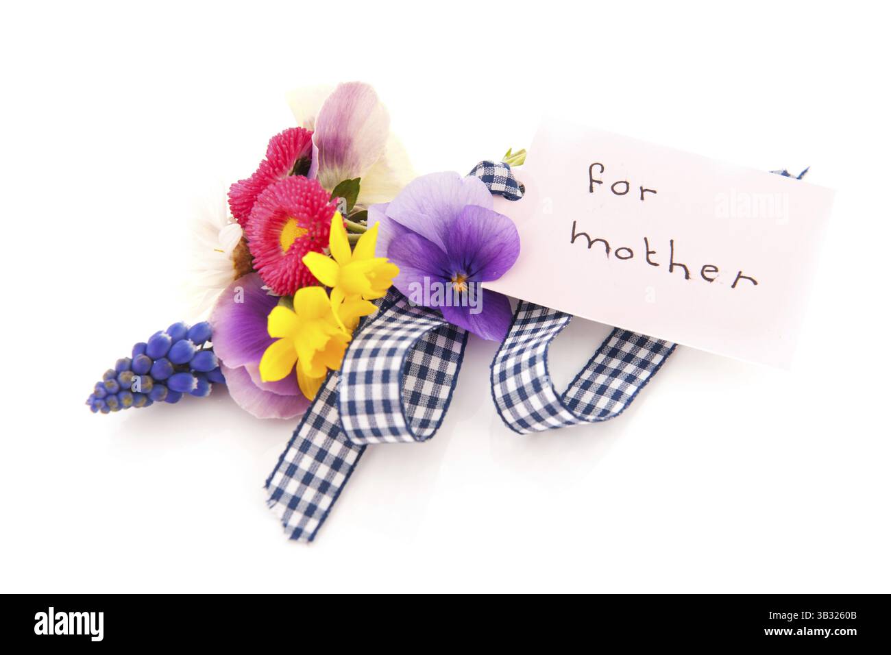 Fleurs cueillies pour mère isolée sur fond blanc Banque D'Images