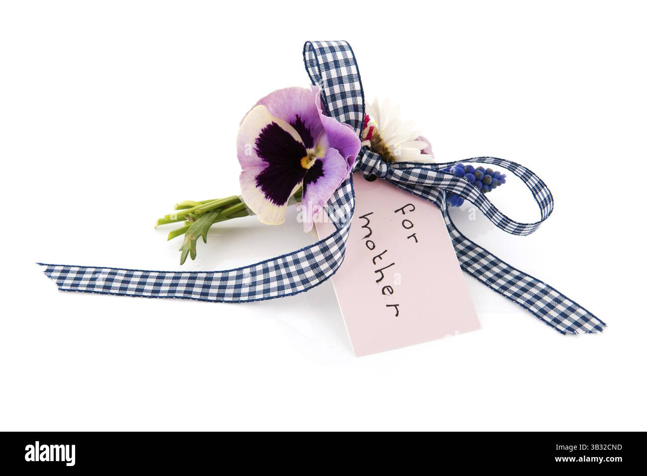 Fleurs cueillies pour mère isolée sur fond blanc Banque D'Images