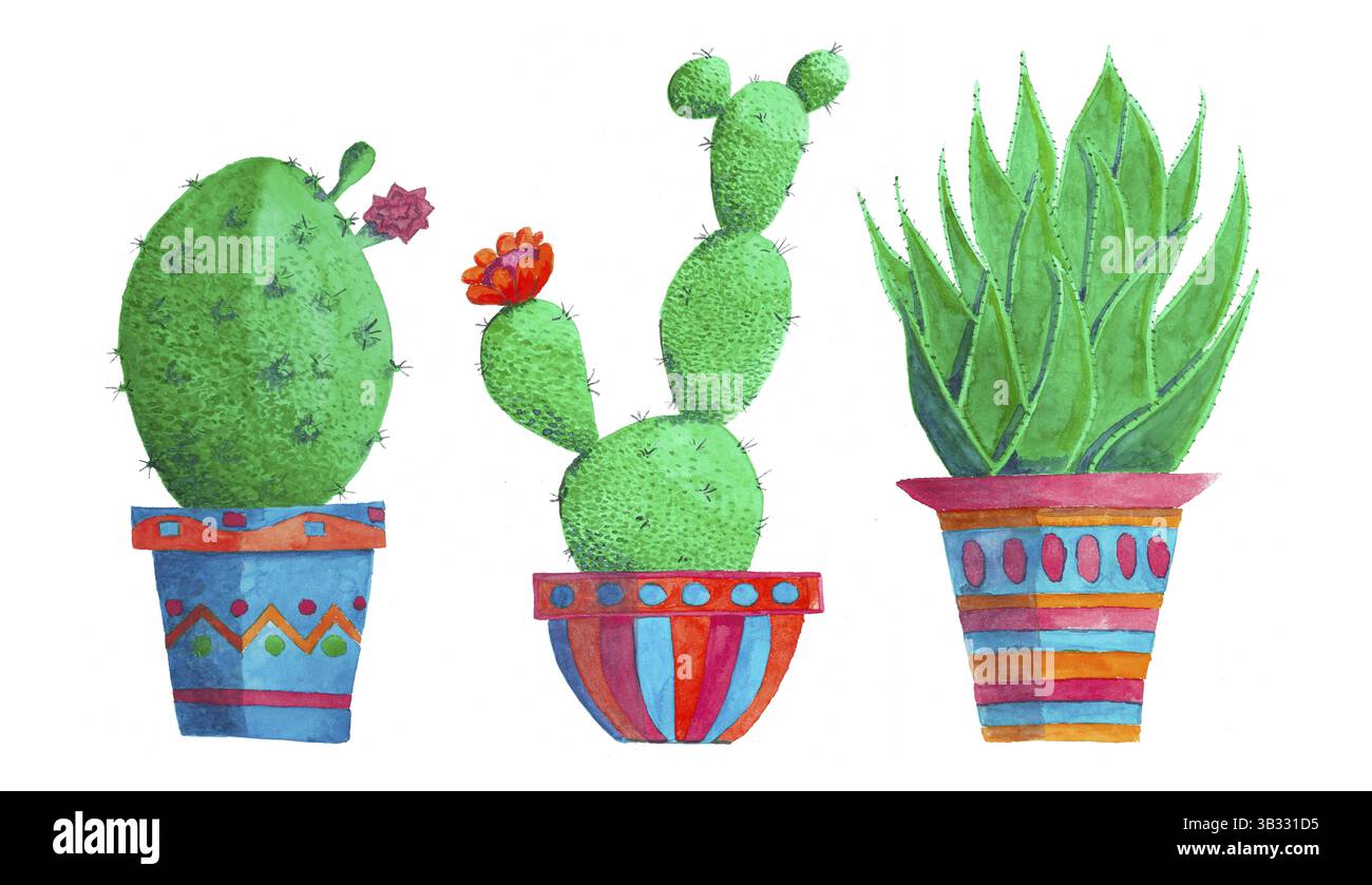 Trois cactus dessinés à la main différents isolés sur fond blanc Banque D'Images