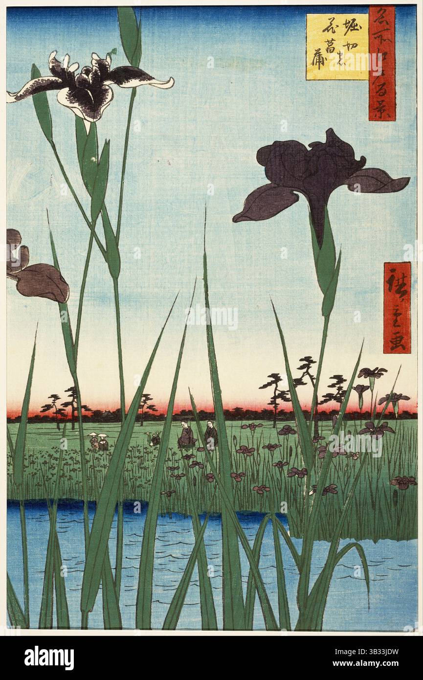 Horikiri Iris Garden (Horikiri no hanashÅbu) de la série cent vues célèbres d'Edo. Utagawa Hiroshige. 1857. Banque D'Images
