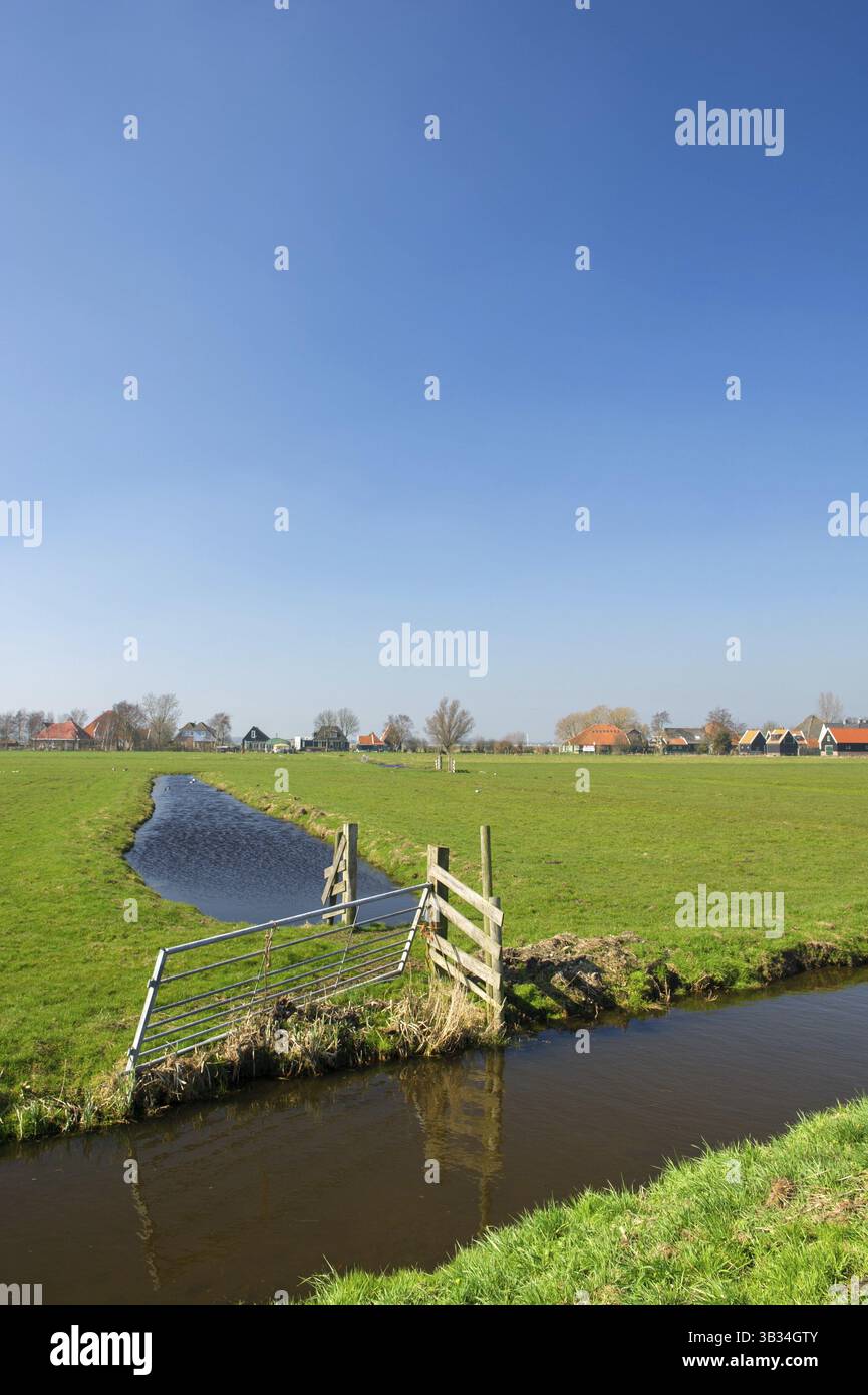 Paysage typiquement hollandais de prés et des fossés Banque D'Images
