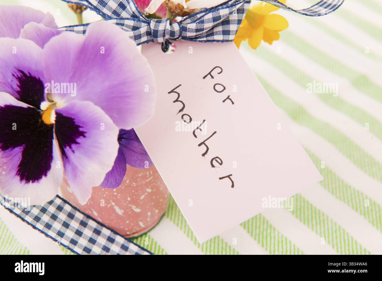 Fleurs cueillies pour mère isolée sur fond blanc Banque D'Images