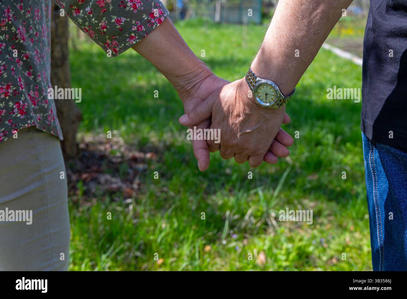 Gros plan d'un couple de personnes âgées se tenant la main à l'extérieur. Vue rapprochée d'un couple âgé tenant doucement la main dans un jardin ensoleillé, symbolisant l'amour Banque D'Images