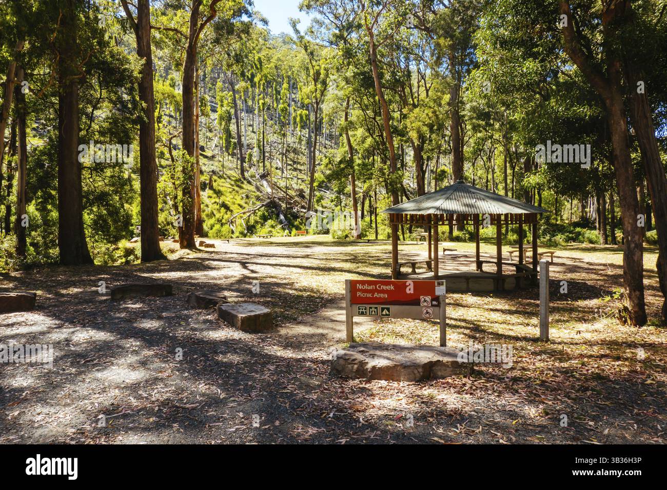 Aire de pique-nique de Nolans Creek dans le parc d'État de Lerderderg par une chaude journée d'été près de Bullengarook dans le Victoria, Australie, Océanie Banque D'Images