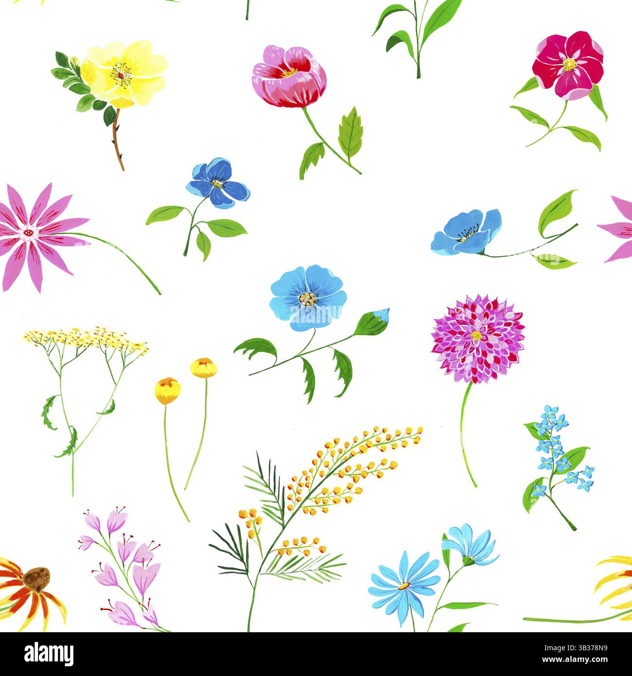 Fleurs peintes à la main avec gouache sur fond blanc Banque D'Images