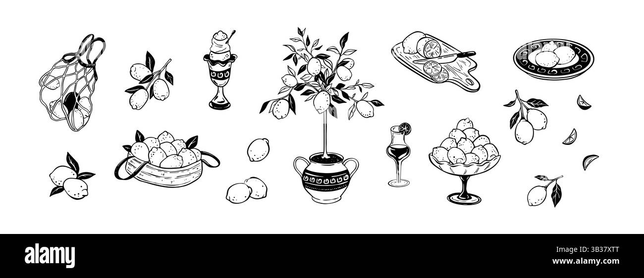 Illustration vectorielle doodle dessinée à la main au citron d'été. Italien Amalfi, Positano, Sicile mer méditerranée éléments de conception côtière. Panier, limoncello et Illustration de Vecteur