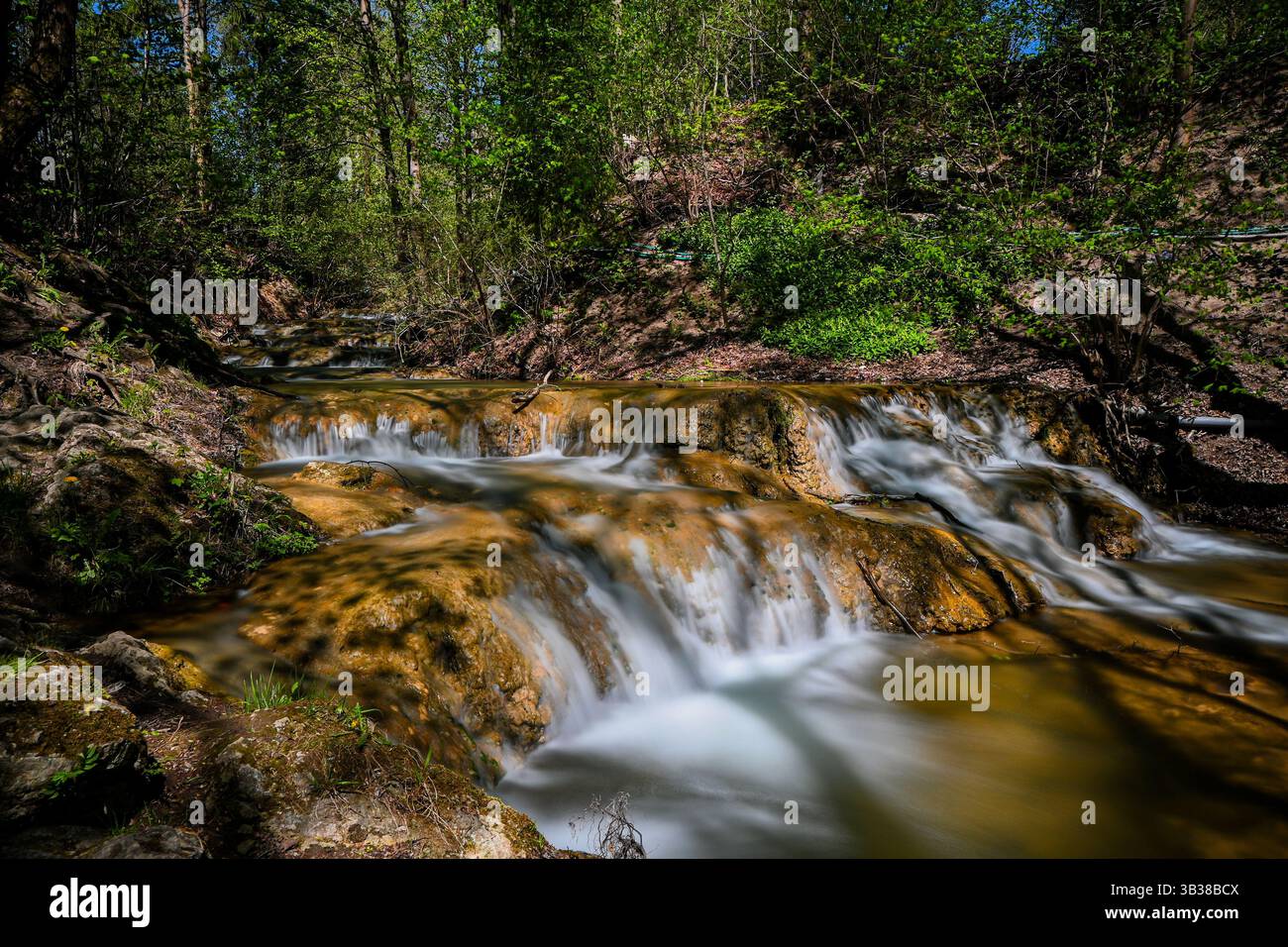 L'eau en cascade coule sur les rochers dans un cadre forestier paisible, créant une scène naturelle tranquille. Banque D'Images