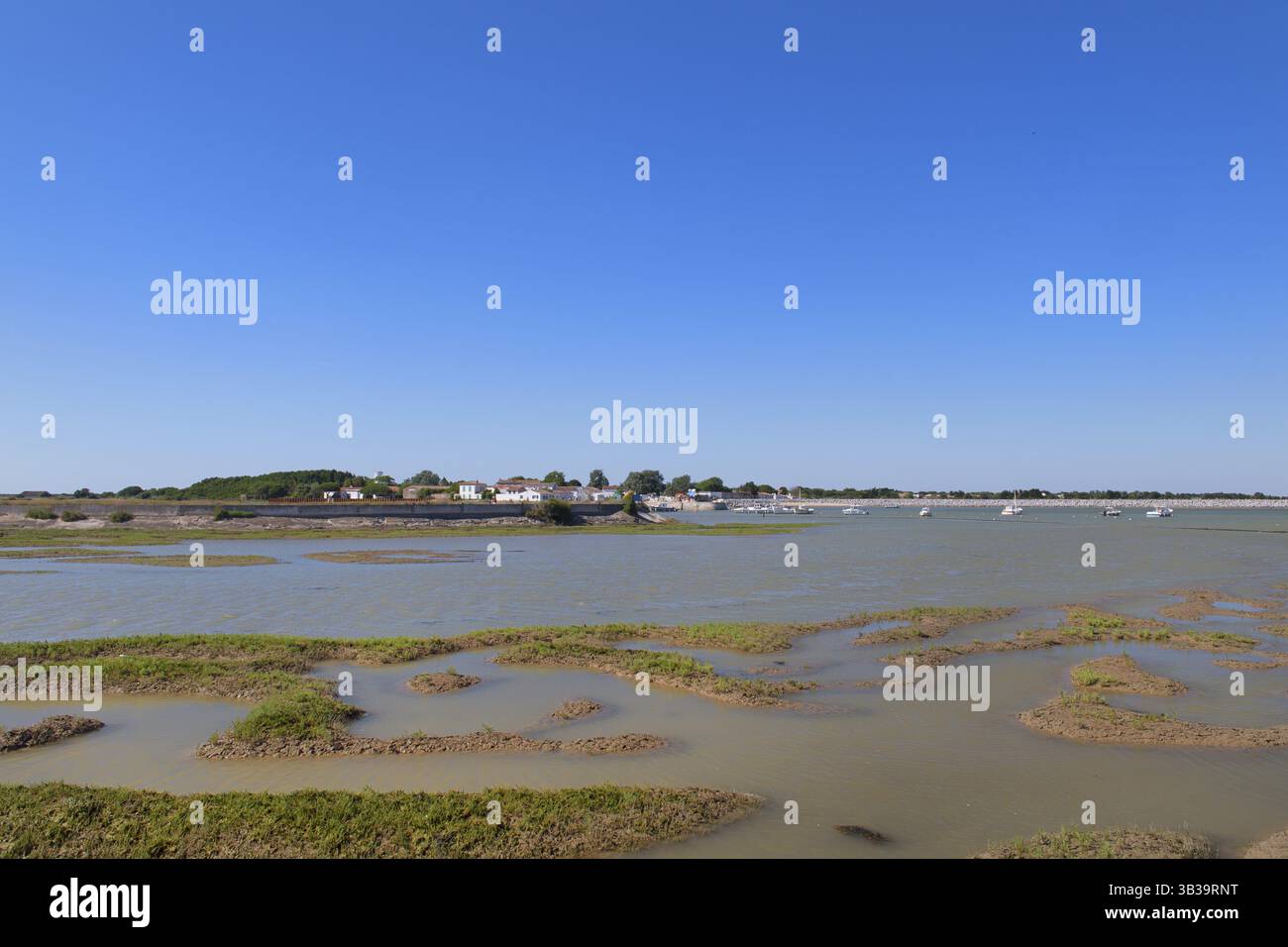 Ile de Ré avec lacs salés et village Loix Banque D'Images