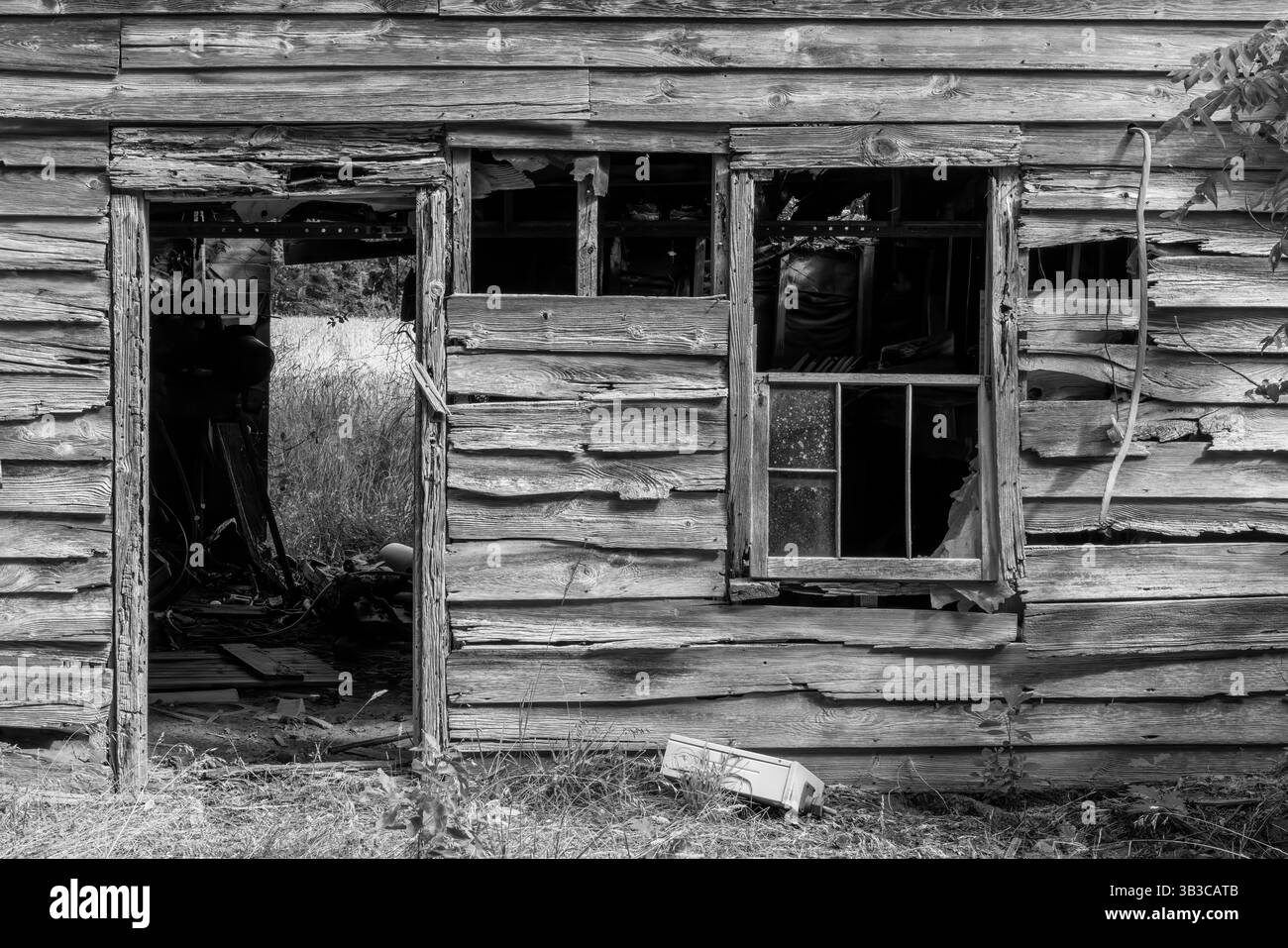 Maison abandonnée à monochrome, Dagsboro, Delaware Banque D'Images