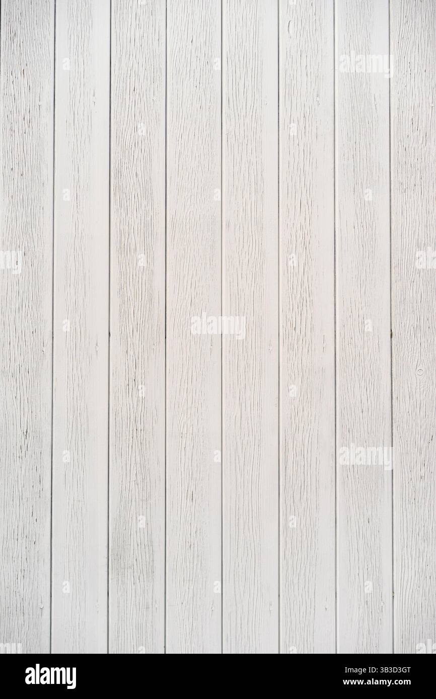 Surface de fond de texture de bois lumineux avec vieux motif naturel. Grain de bois vieilli blanc rustique. Banque D'Images