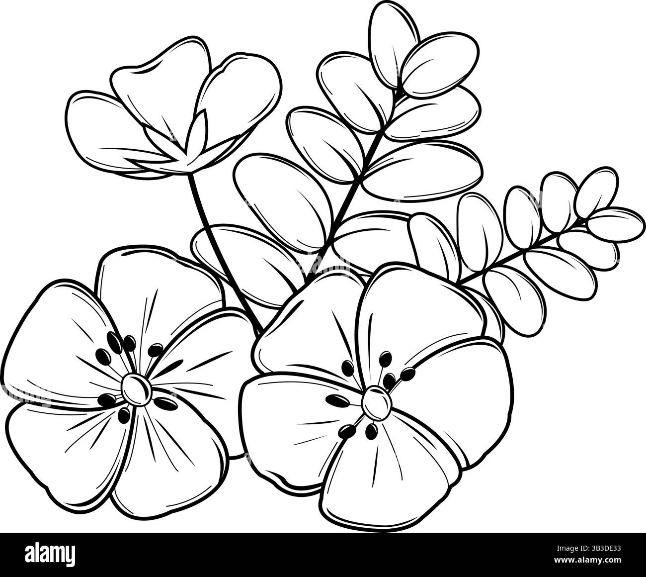 Fleur de Tribulus Omanense. Symbole d'esquisse noir et blanc. Fleur nationale des Émirats arabes Unis. Jolie fleur, fleur du désert Dubaï Gokhru en branche. Illustration de Vecteur