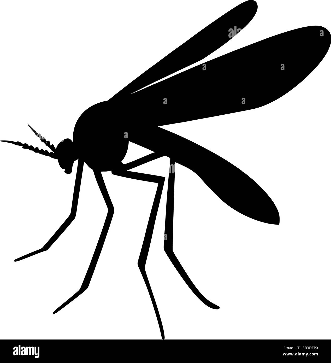 Conception graphique vectorielle de silhouette de moustique Illustration de Vecteur